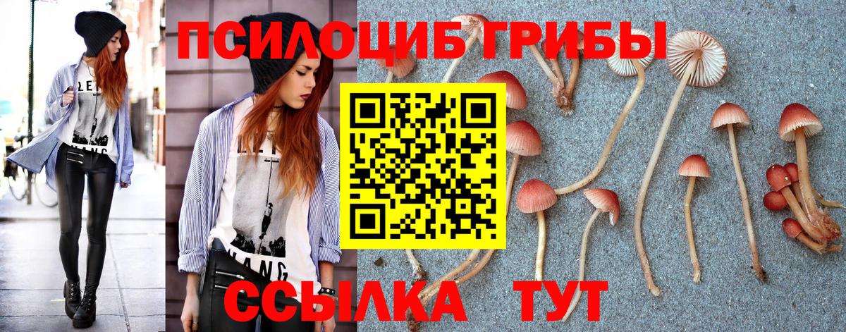 Галлюциногенные грибы GOLDEN TEACHER Среднеуральск